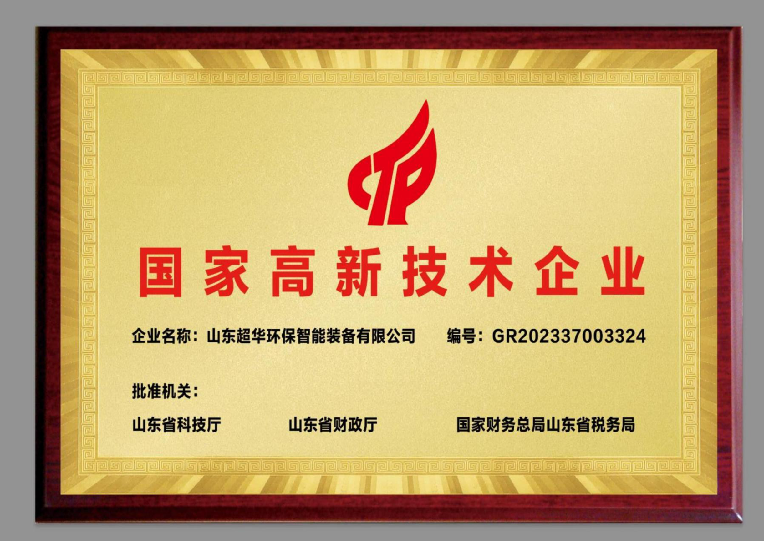 國家高新技術(shù)企業(yè)